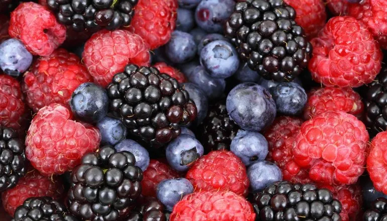 Ciesz się naszymi smoothies przez cały rok!