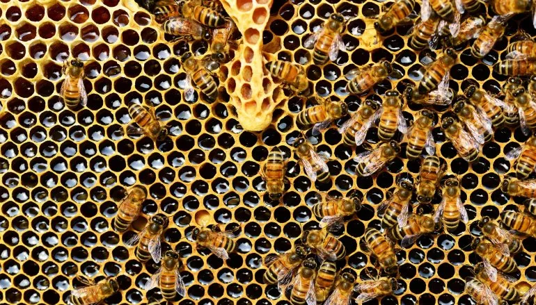 7 prostych domowych sposobów, które pomogą złagodzić rozstrój żołądka
