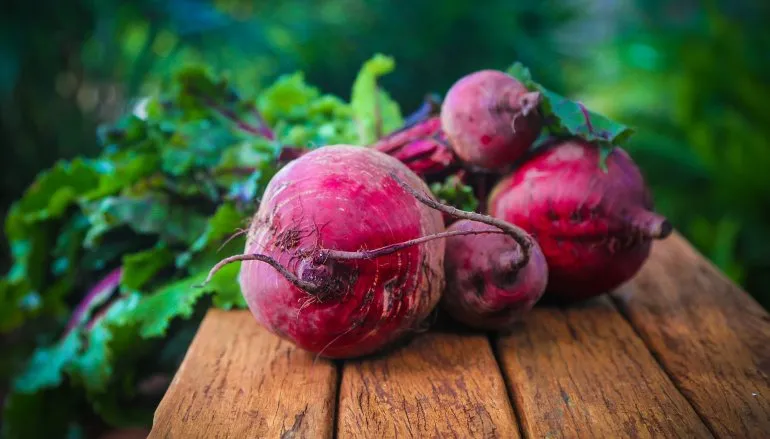 Buraki – polskie superfood