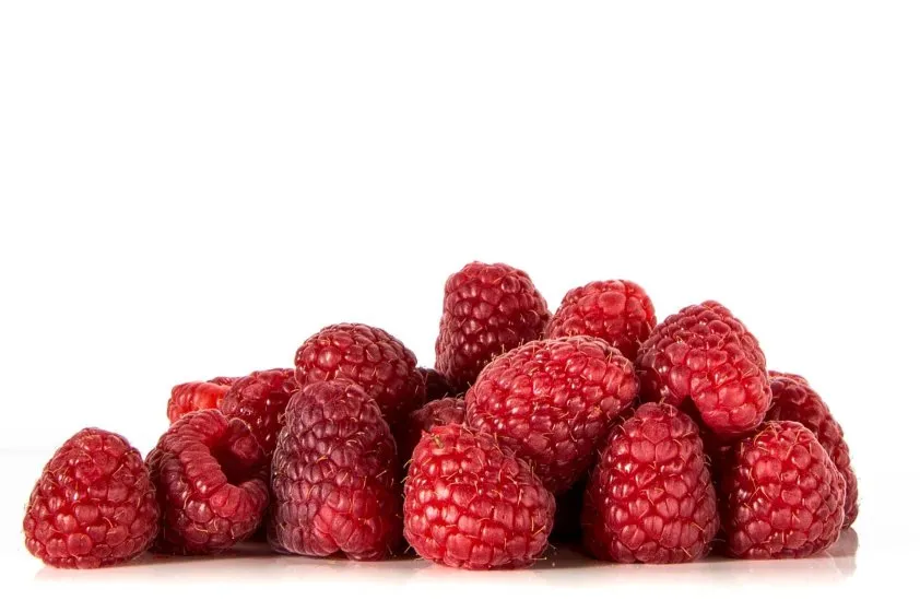 maliny w ciąży