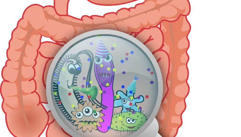 Candida – przyczajony drożdżak, ukryty grzyb