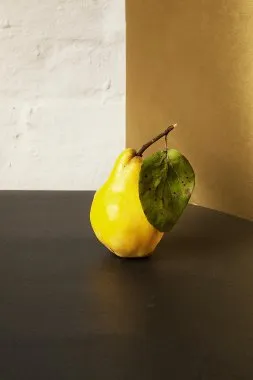 pigwa owoc
