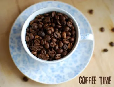 kopi luwak filiżanka