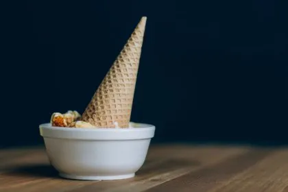 domowy sorbet