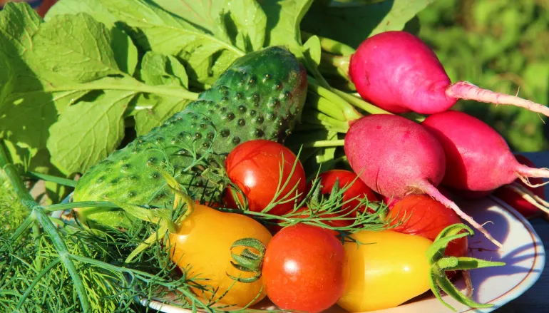 Dieta Daniela - poznaj najważniejsze fakty